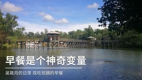 可爱猪救援2