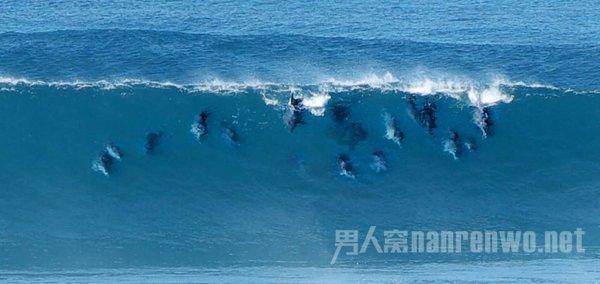 燃烧吧大脑装瓶子游戏