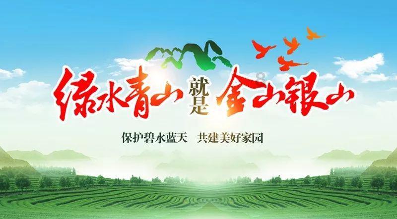 几块钱一瓶的“甲硝唑”，能摆平4种病？别白白错过了