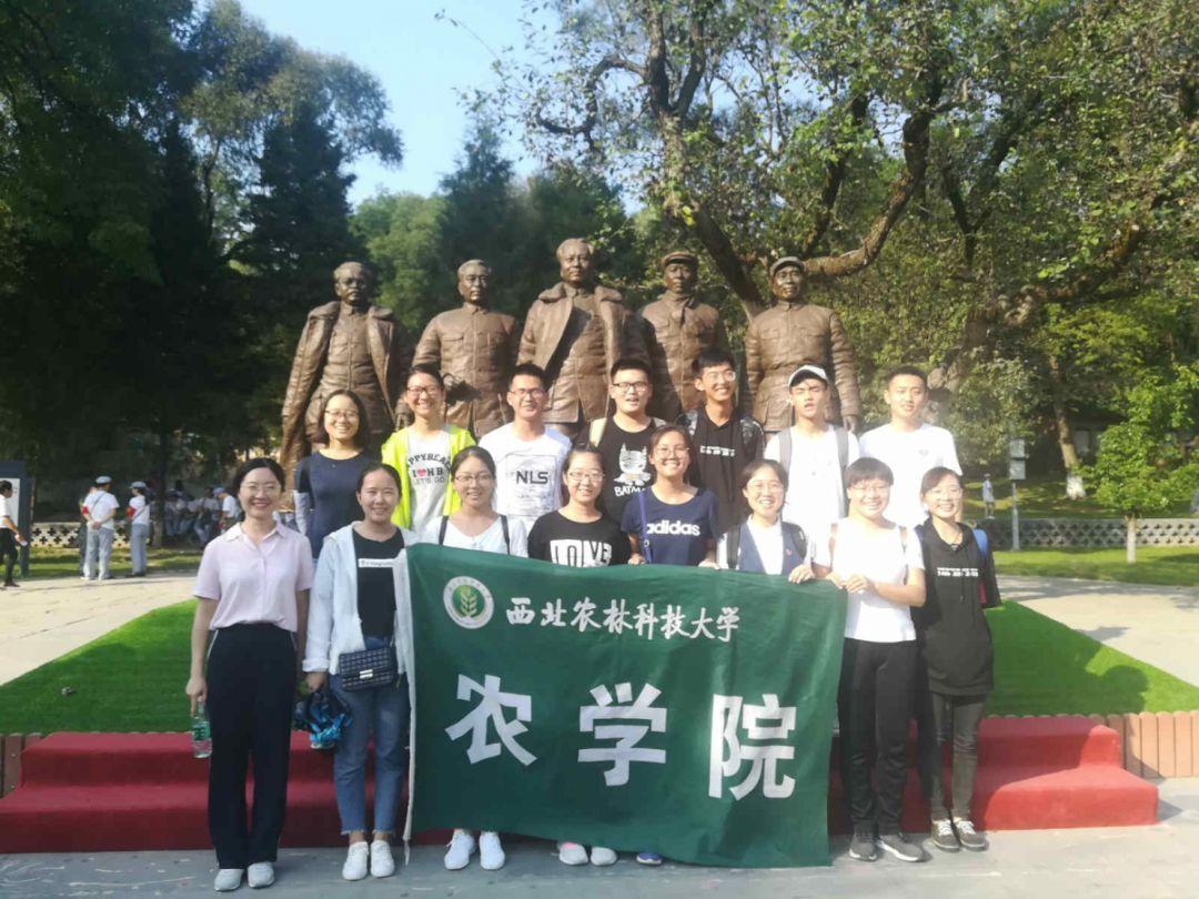 网友在路上遇到一只自己出来买橙子的金毛，金毛还自己打着手电呢