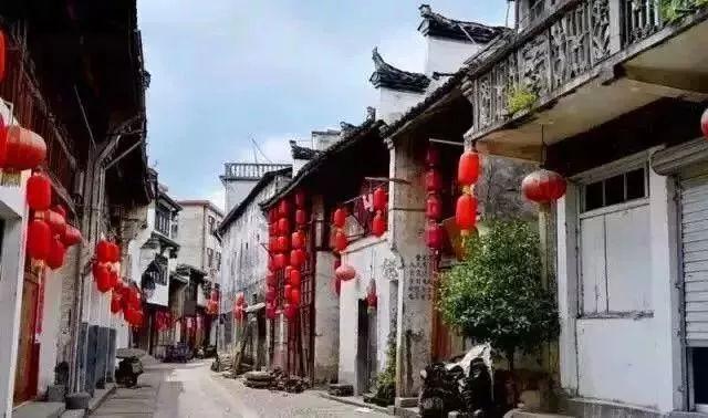 “熊出没”十年玩转三张牌