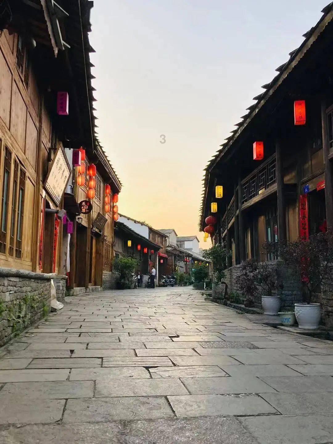 拯救蝙蝠家族