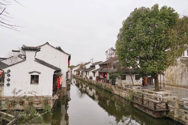 二战时希特勒建立“生育农场”，批量生产孩子如流水线，不谈感情